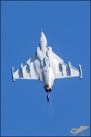 NZ6_3949