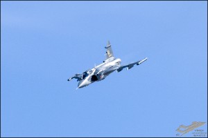 NZ6_3955