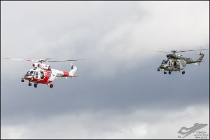 NZ6_3531