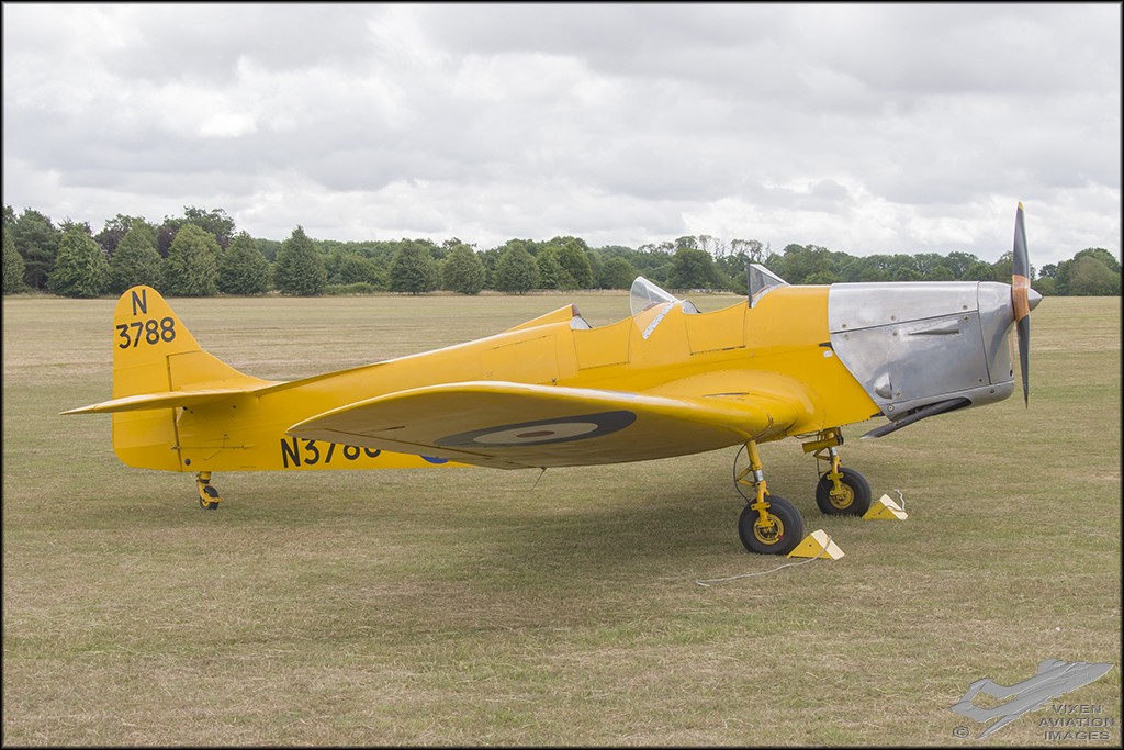 Miles Magister 