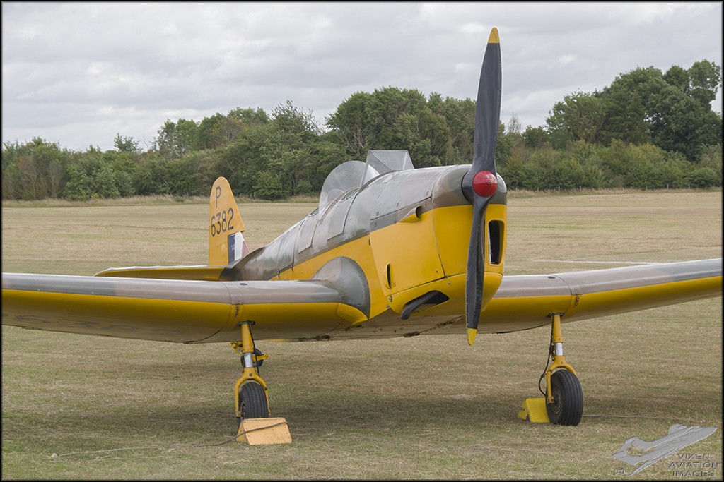 Miles Magister 