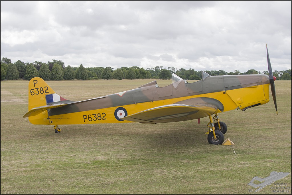 Miles Magister 