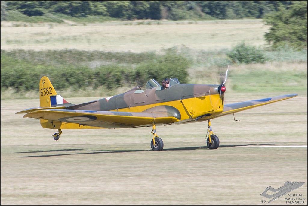Miles Magister 