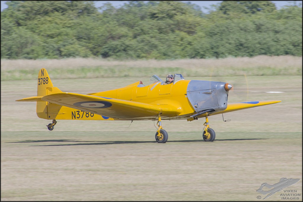 Miles Magister 