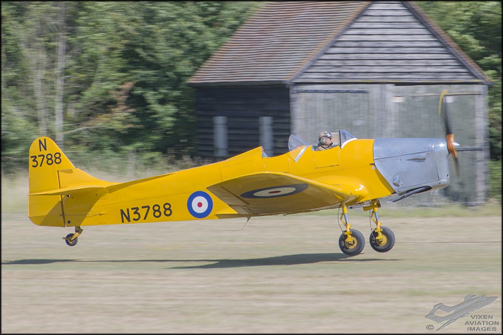 Miles Magister 