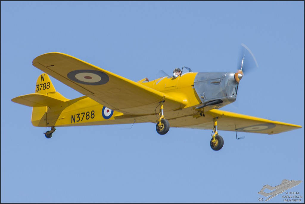 Miles Magister 