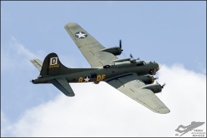 NZ6_1199