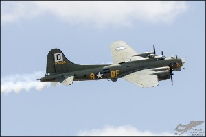 NZ6_1205