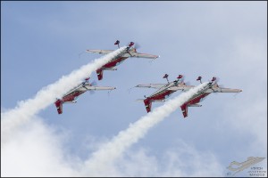 NZ6_1262
