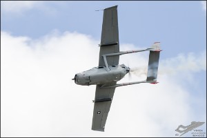 NZ6_1360