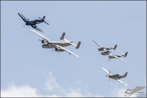 NZ6_1561