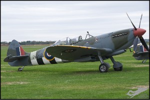 D75_8986