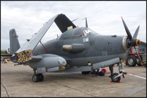 D75_9024
