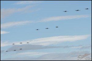 NZ6_4290