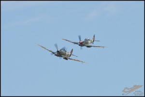 NZ6_4378