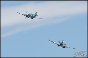 NZ6_4383