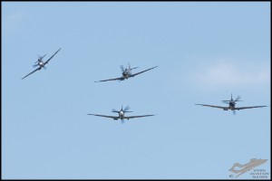 NZ6_4435