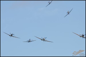 NZ6_4438