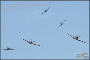 NZ6_4440