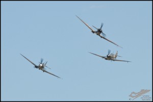 NZ6_4469