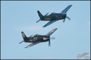 NZ6_4504