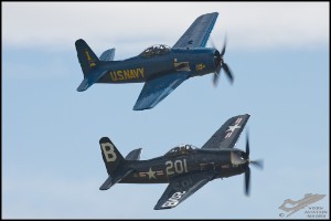 NZ6_4509