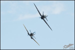 NZ6_4595