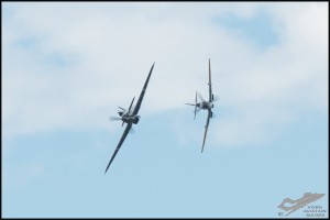 NZ6_4606