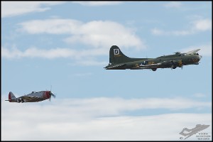 NZ6_4648