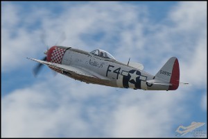 NZ6_4679