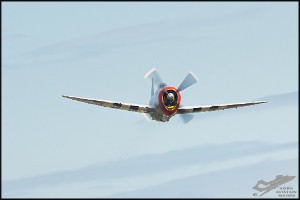 NZ6_4701