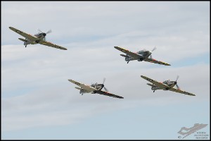 NZ6_4721