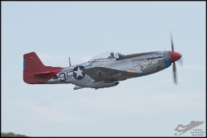 NZ6_4729