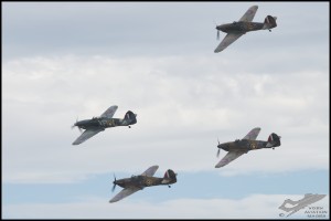 NZ6_4772