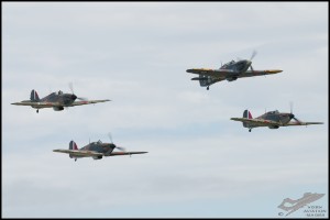 NZ6_4776