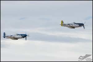 NZ6_4810