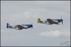 NZ6_4848