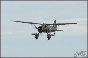 NZ6_4883