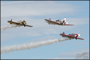 NZ6_4962