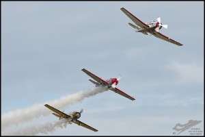 NZ6_4964