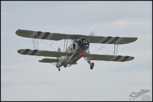 NZ6_4968