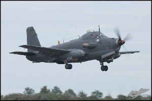 NZ6_4975