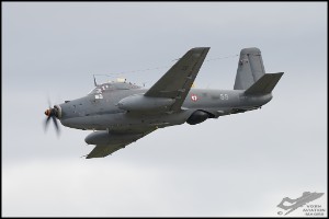 NZ6_5007