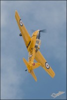 NZ6_1750