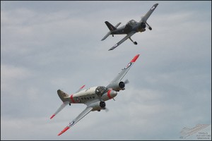 NZ6_1793