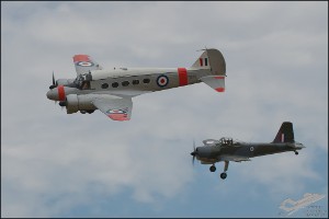 NZ6_1800