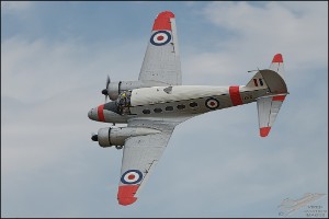 NZ6_1825