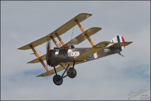 NZ6_1915