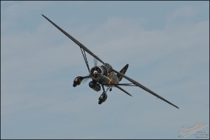 NZ6_2028