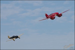 NZ6_2046